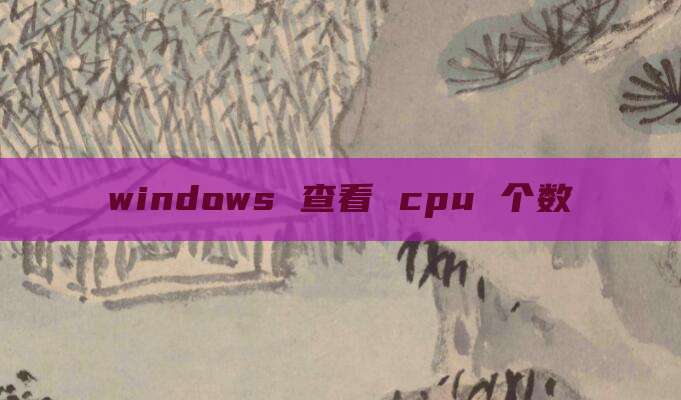 windows 查看 cpu 个数