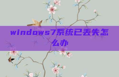 windows7系统已丢失怎么办