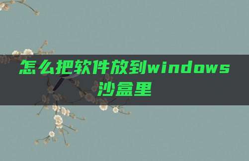 怎么把软件放到windows沙盒里