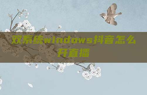 双系统windows抖音怎么开直播