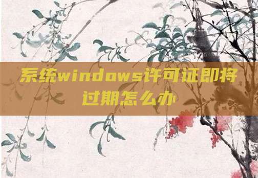 系统windows许可证即将过期怎么办