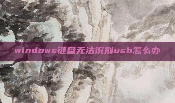 windows键盘无法识别usb怎么办