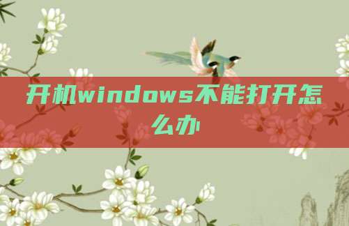 开机windows不能打开怎么办