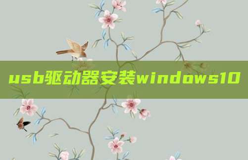 usb驱动器安装windows10