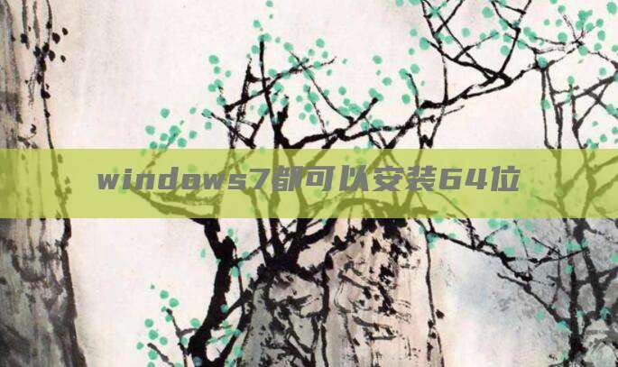 windows7都可以安装64位