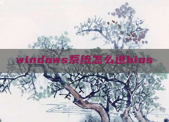 windows系统怎么进bios