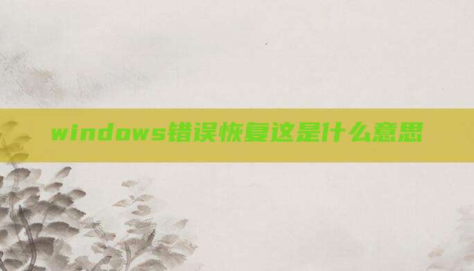 windows错误恢复这是什么意思