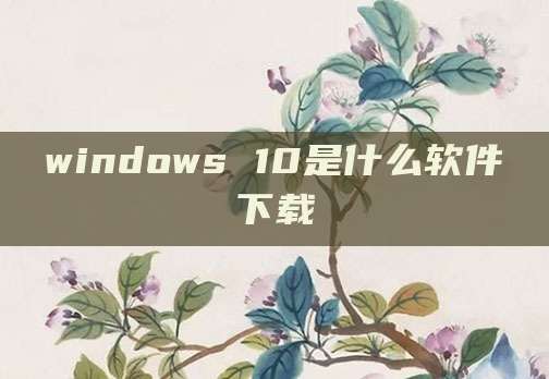 windows 10是什么软件下载