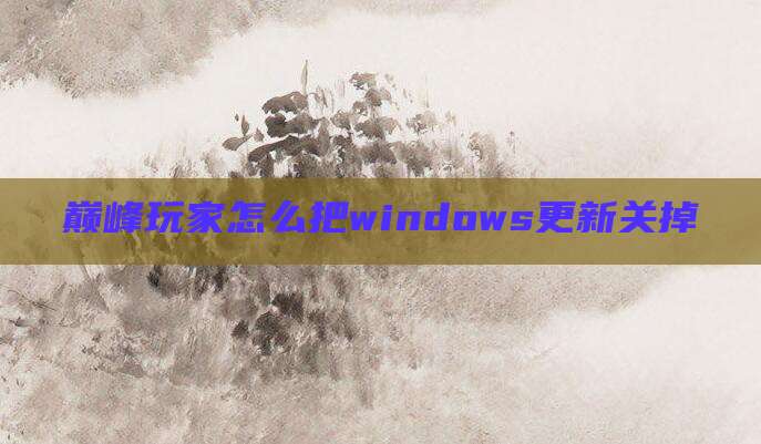 巅峰玩家怎么把windows更新关掉