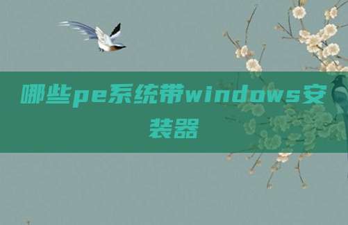 哪些pe系统带windows安装器