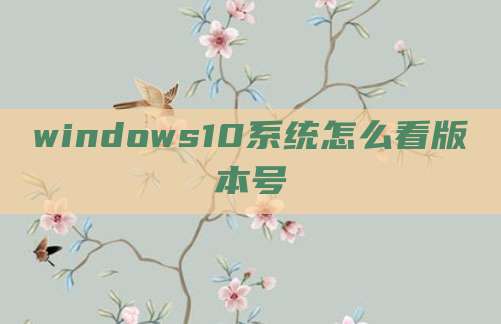 windows10系统怎么看版本号