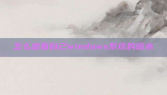 怎么查看自己windows系统的版本