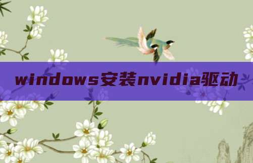 windows安装nvidia驱动