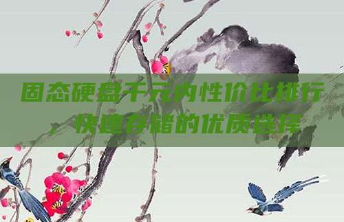 固态硬盘千元内性价比排行,快速存储的优质选择