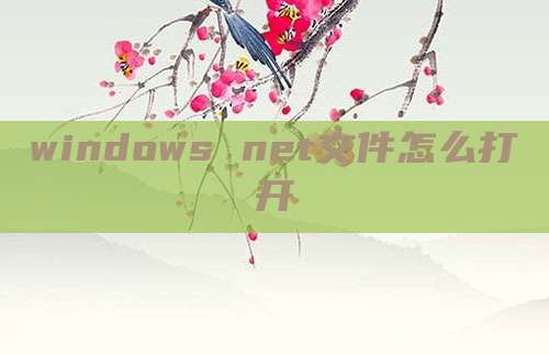 windows net文件怎么打开