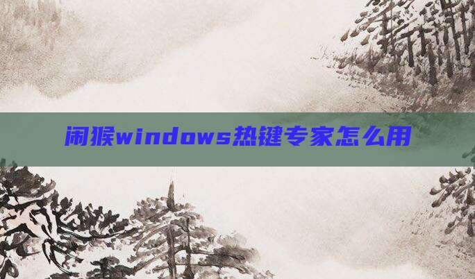 闹猴windows热键专家怎么用
