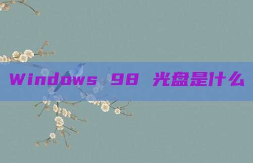Windows 98 光盘是什么