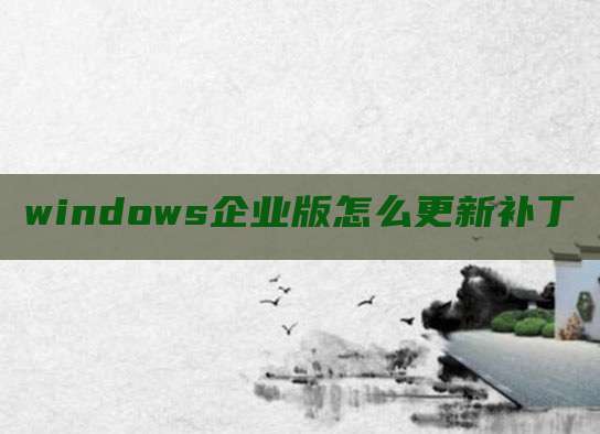 windows企业版怎么更新补丁