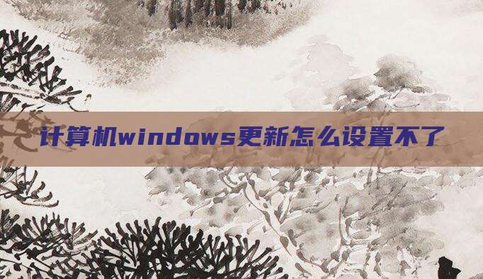 计算机windows更新怎么设置不了