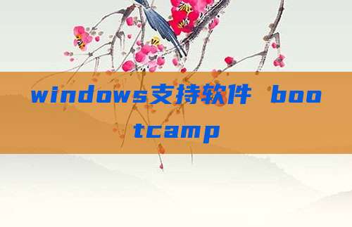 windows支持软件 bootcamp