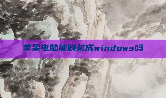 苹果电脑能刷机成windows吗