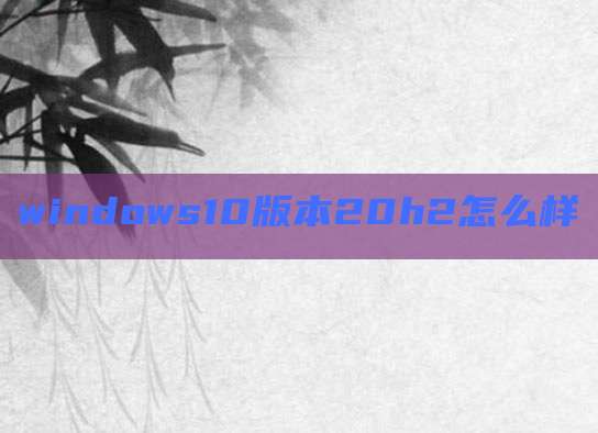 windows10版本20h2怎么样