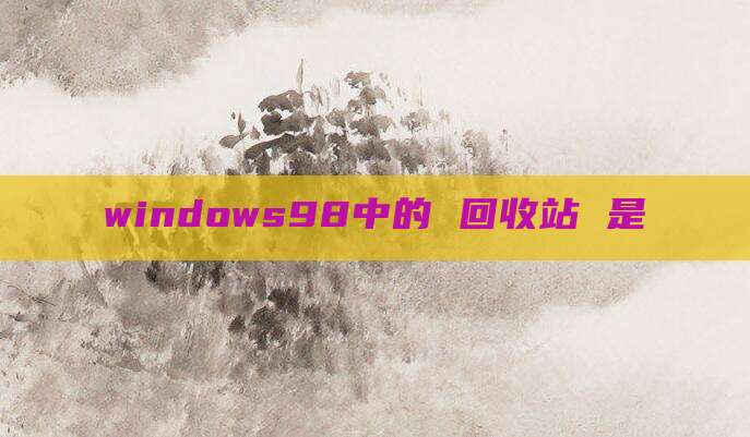 windows98中的 回收站 是