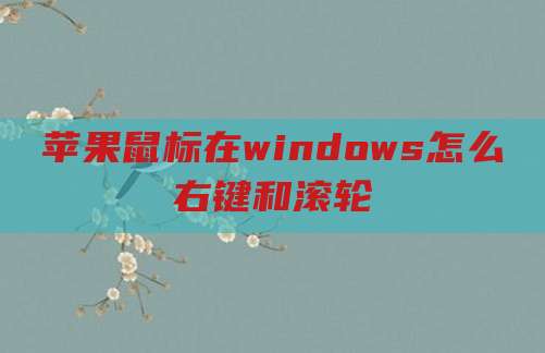 苹果鼠标在windows怎么右键和滚轮