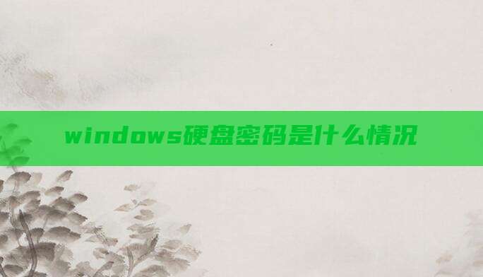 windows硬盘密码是什么情况