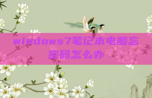 windows7笔记本电脑忘密码怎么办