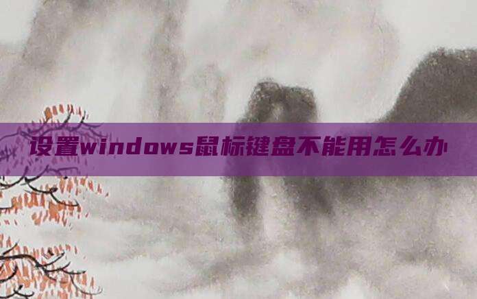 设置windows鼠标键盘不能用怎么办