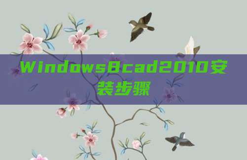Windows8cad2010安装步骤