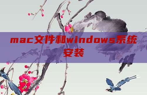 mac文件和windows系统安装