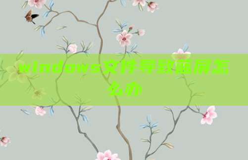 windows文件导致蓝屏怎么办