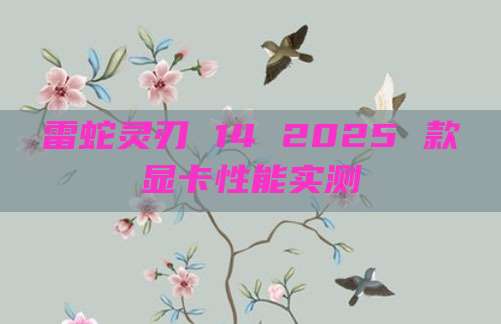 雷蛇灵刃 14 2025 款显卡性能实测