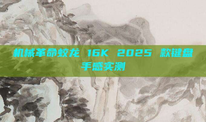 机械革命蛟龙 16K 2025 款键盘手感实测