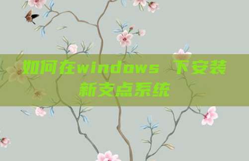 如何在windows 下安装新支点系统