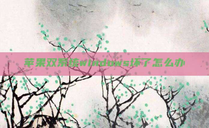 苹果双系统windows坏了怎么办