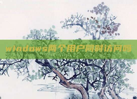 windows两个用户同时访问吗