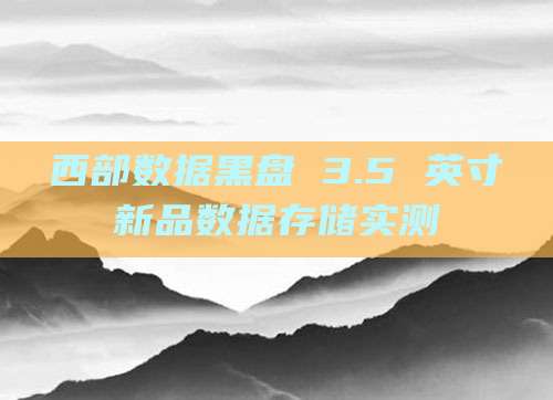 西部数据黑盘 3.5 英寸新品数据存储实测