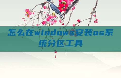 怎么在windows安装os系统分区工具