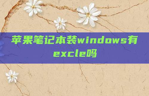 苹果笔记本装windows有excle吗