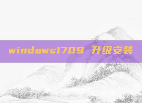 windows1709 升级安装