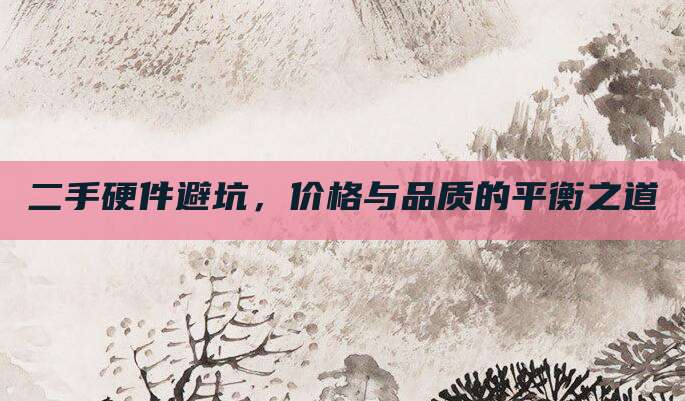 二手硬件避坑,价格与品质的平衡之道
