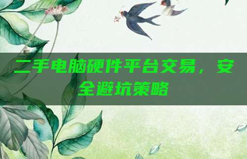 二手电脑硬件平台交易,安全避坑策略