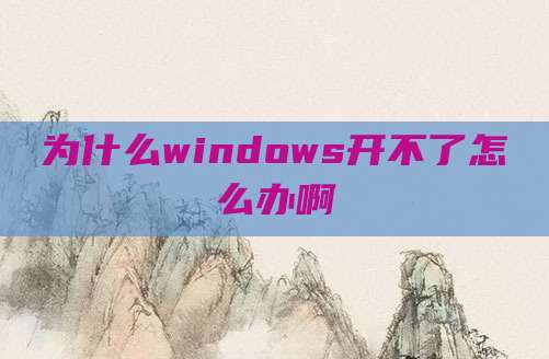 为什么windows开不了怎么办啊