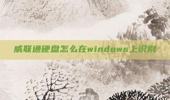 威联通硬盘怎么在windows上识别