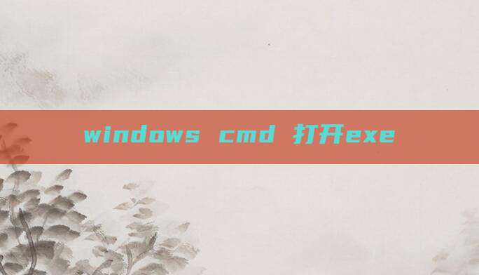 windows cmd 打开exe