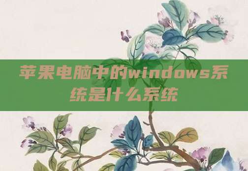 苹果电脑中的windows系统是什么系统