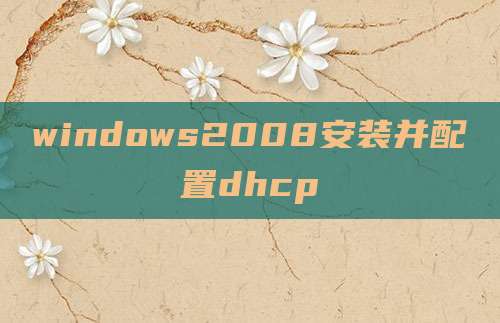 windows2008安装并配置dhcp